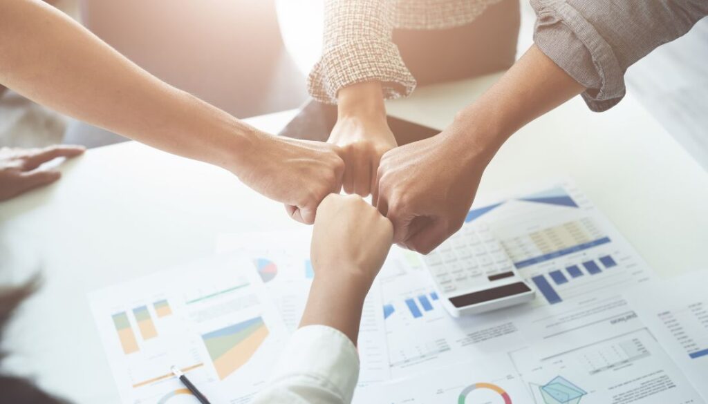 Complete Customs Compliance and Litigation Support for Businesses in the UAE